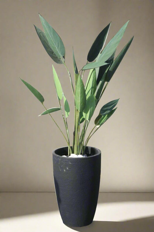 עץ עלי בננה דק + כד שחור מעוצב + חלוקי נחל