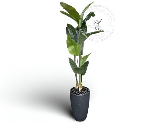 ציפור גן עדן מלאכותי כולל כד מעוצב וחלוקי נחל לבן שלג בגובה 220 ס"מ