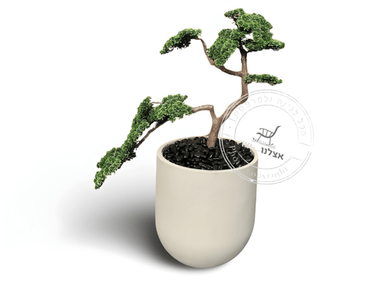 בונסאי רגלנית אפריקנית מלאכותי + כד מעוצב גובה 135 ס"מ