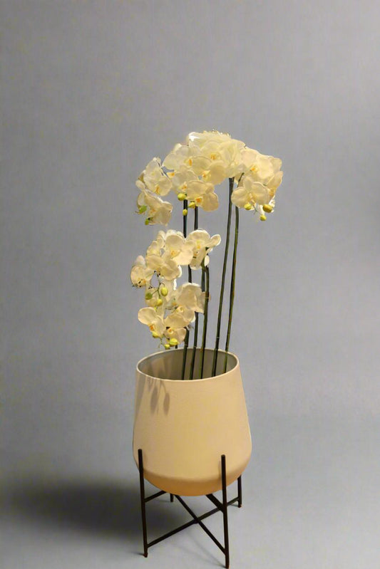 עציץ סחלבים + כד יוקרתי